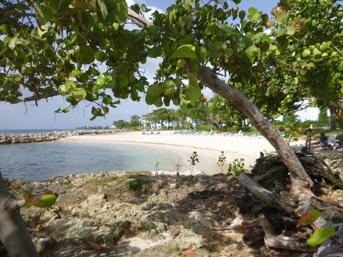Point Village Studio Negril Bagian luar foto